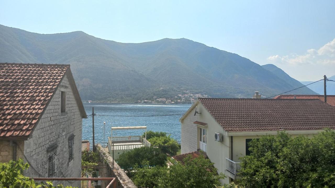 Apartments Vukasovic 科托尔 外观 照片