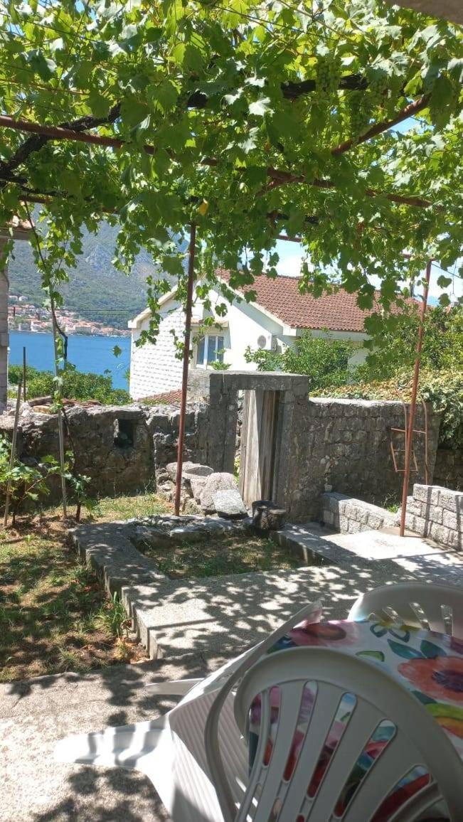 Apartments Vukasovic 科托尔 外观 照片